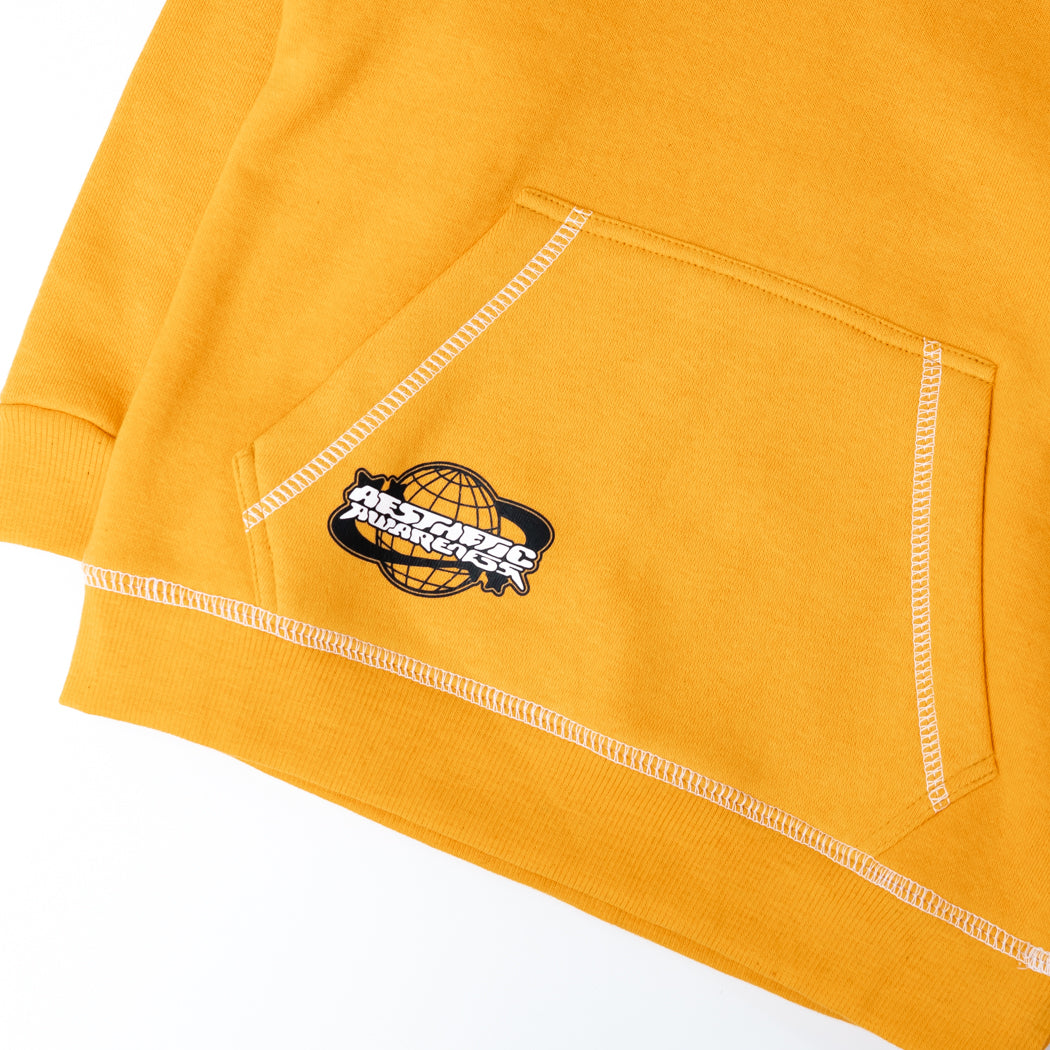 Aesthetic Awareness Hoodie