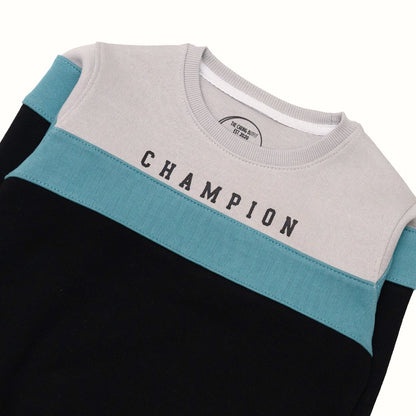 Champion Sweatshirt