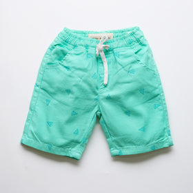 Aqua Printed Shorts