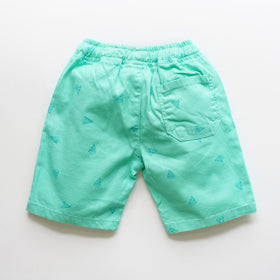Aqua Printed Shorts